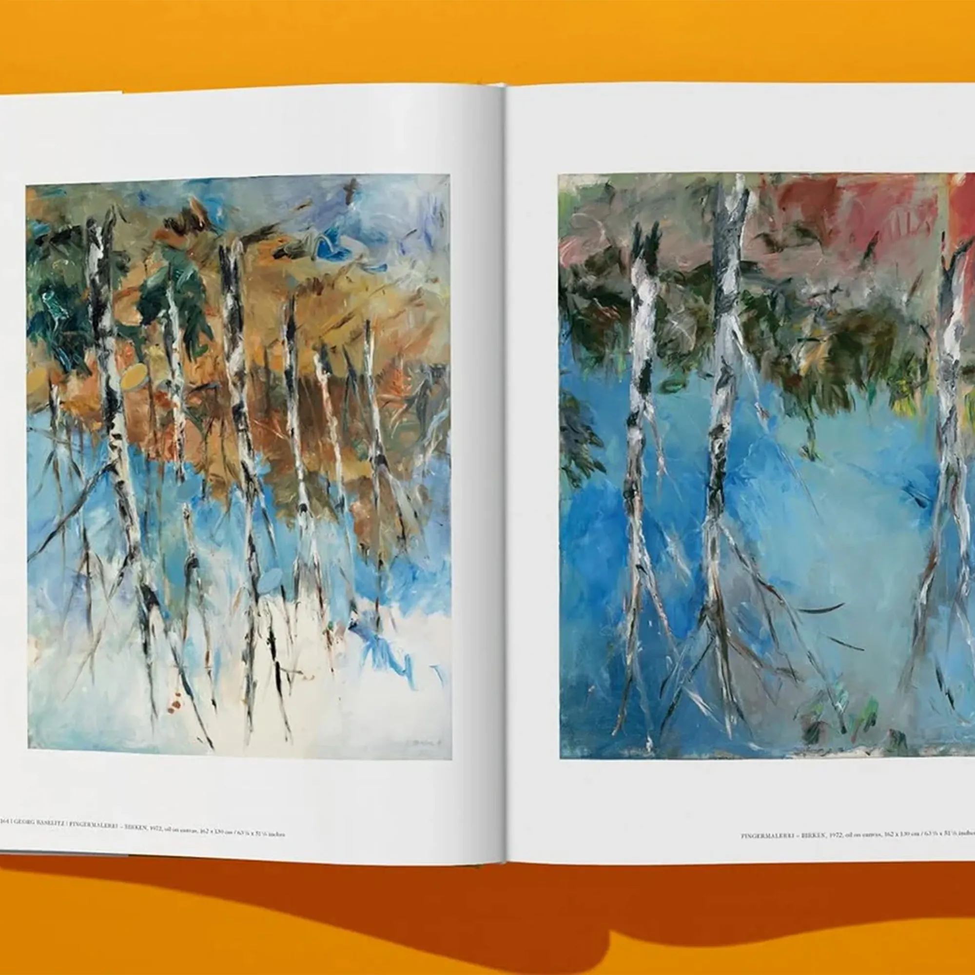 Georg Baselitz kunstbok - 6