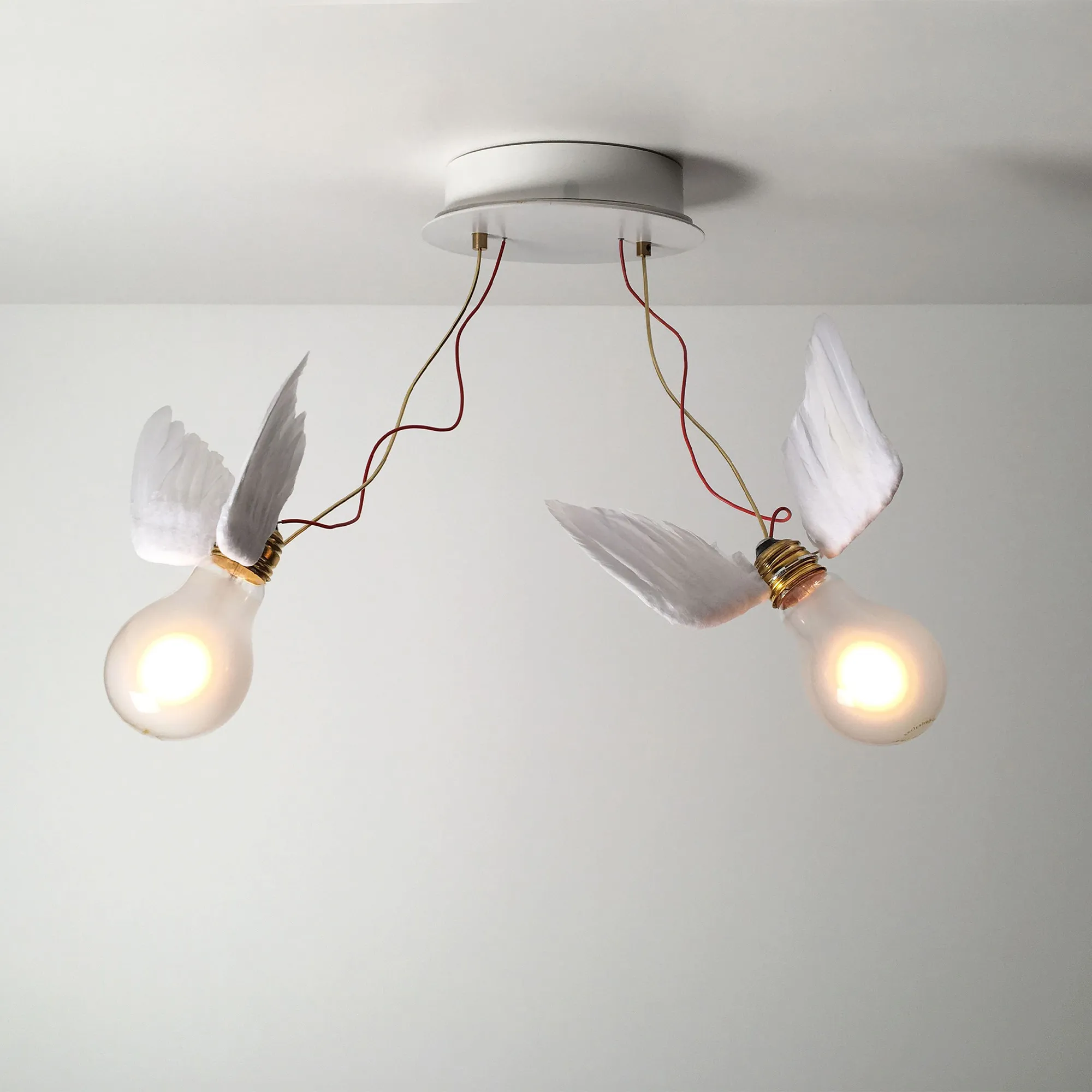 Lucellino Doppio vegg- og taklampe - 2