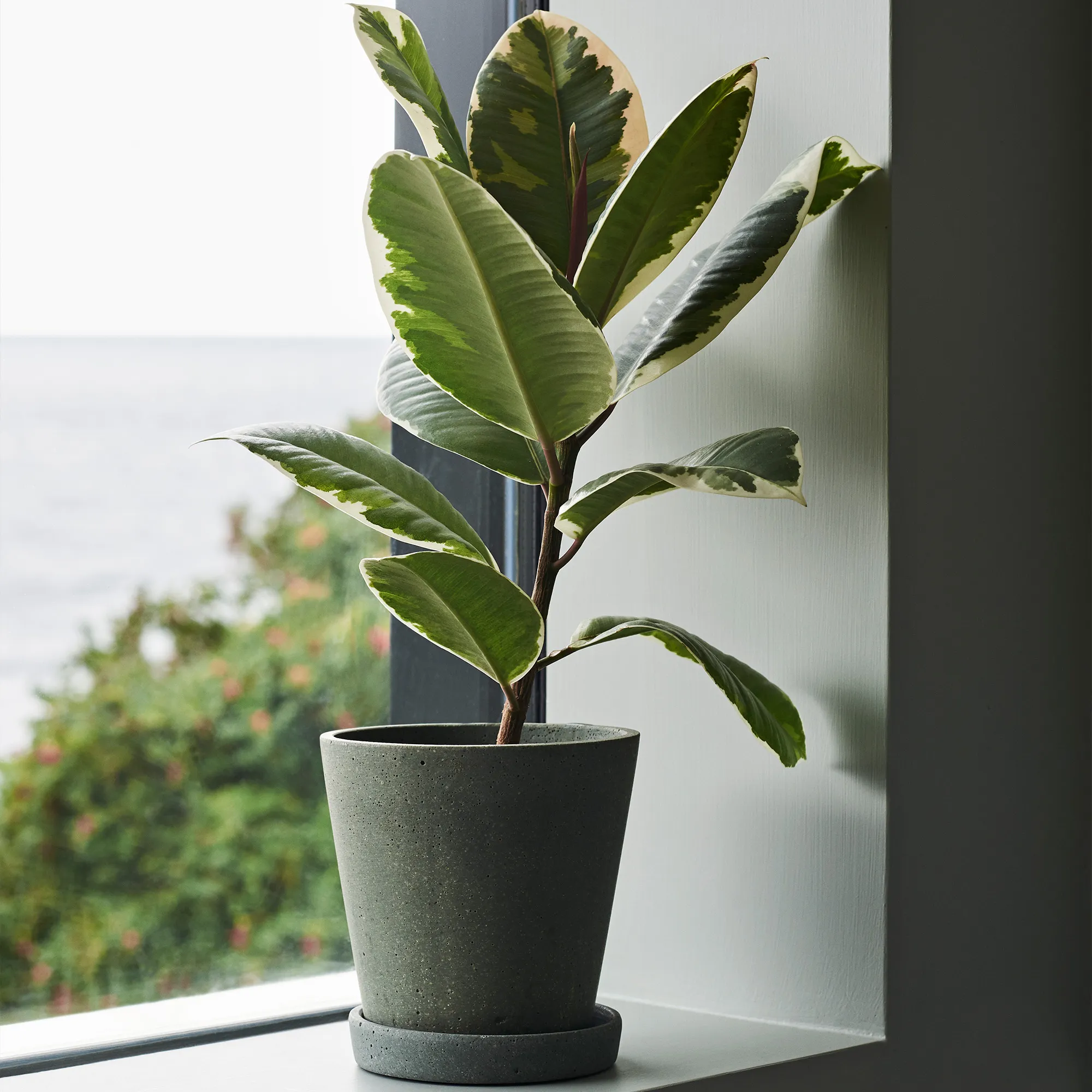 image 6 of 9