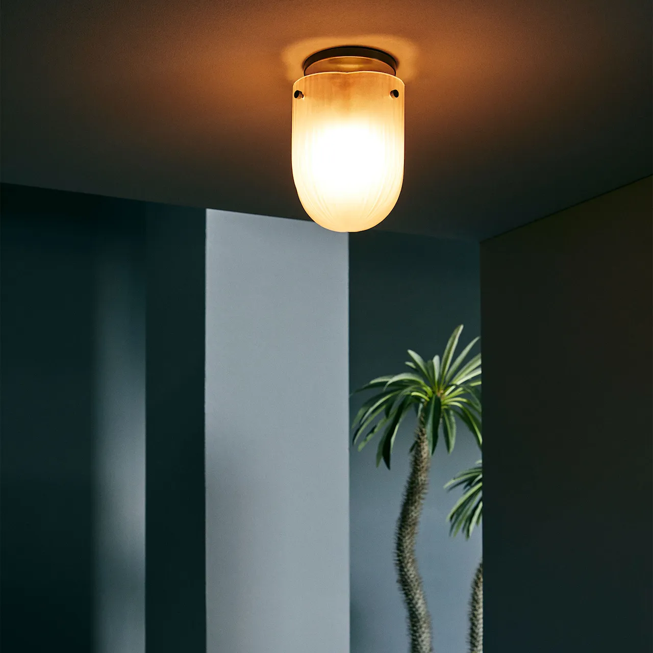 Seine taklampe