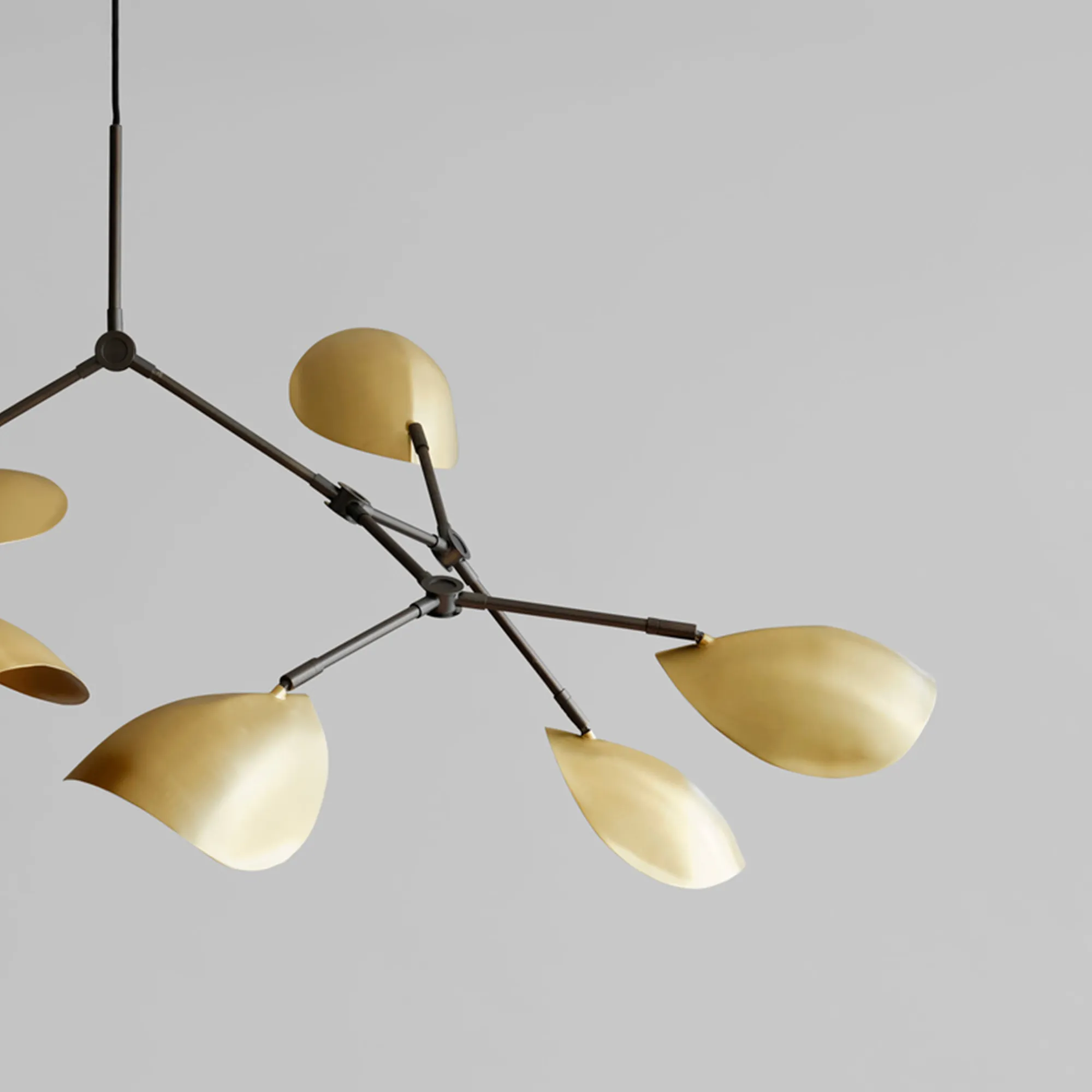 Stingray-lysekrone - 3