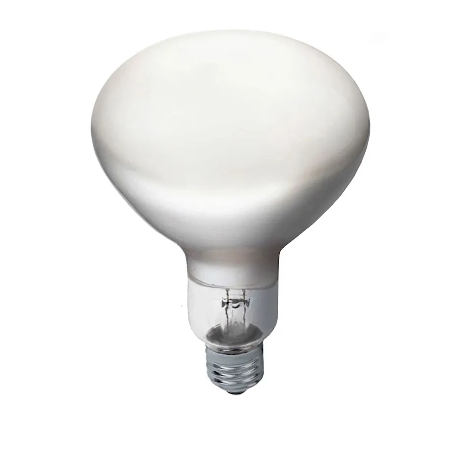 RF35355 Lyskilde E27 13W 1300lm 2700K Dimbar