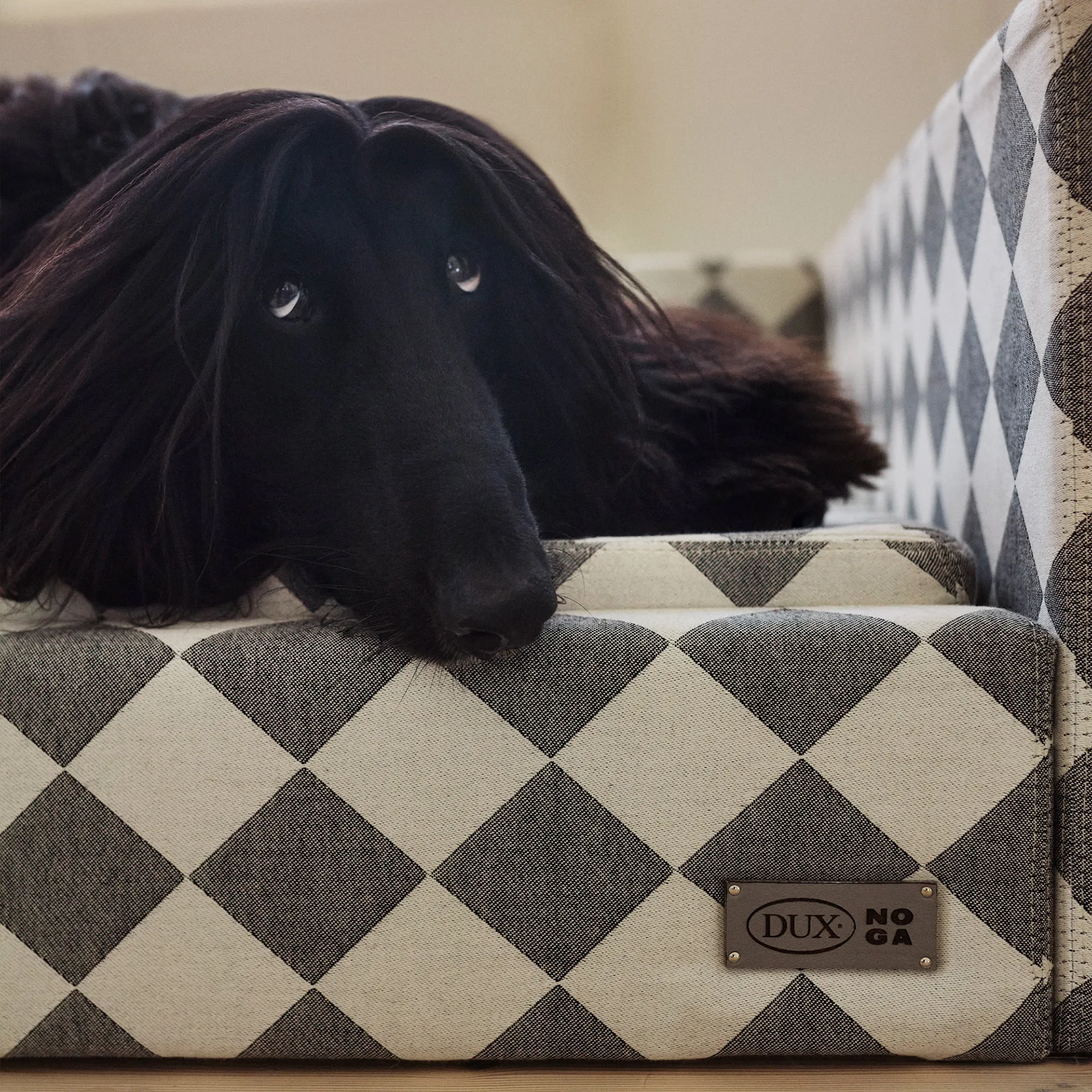 DUX Premium Dog Bed by Nordiska Galleriet - DUX - NO GA