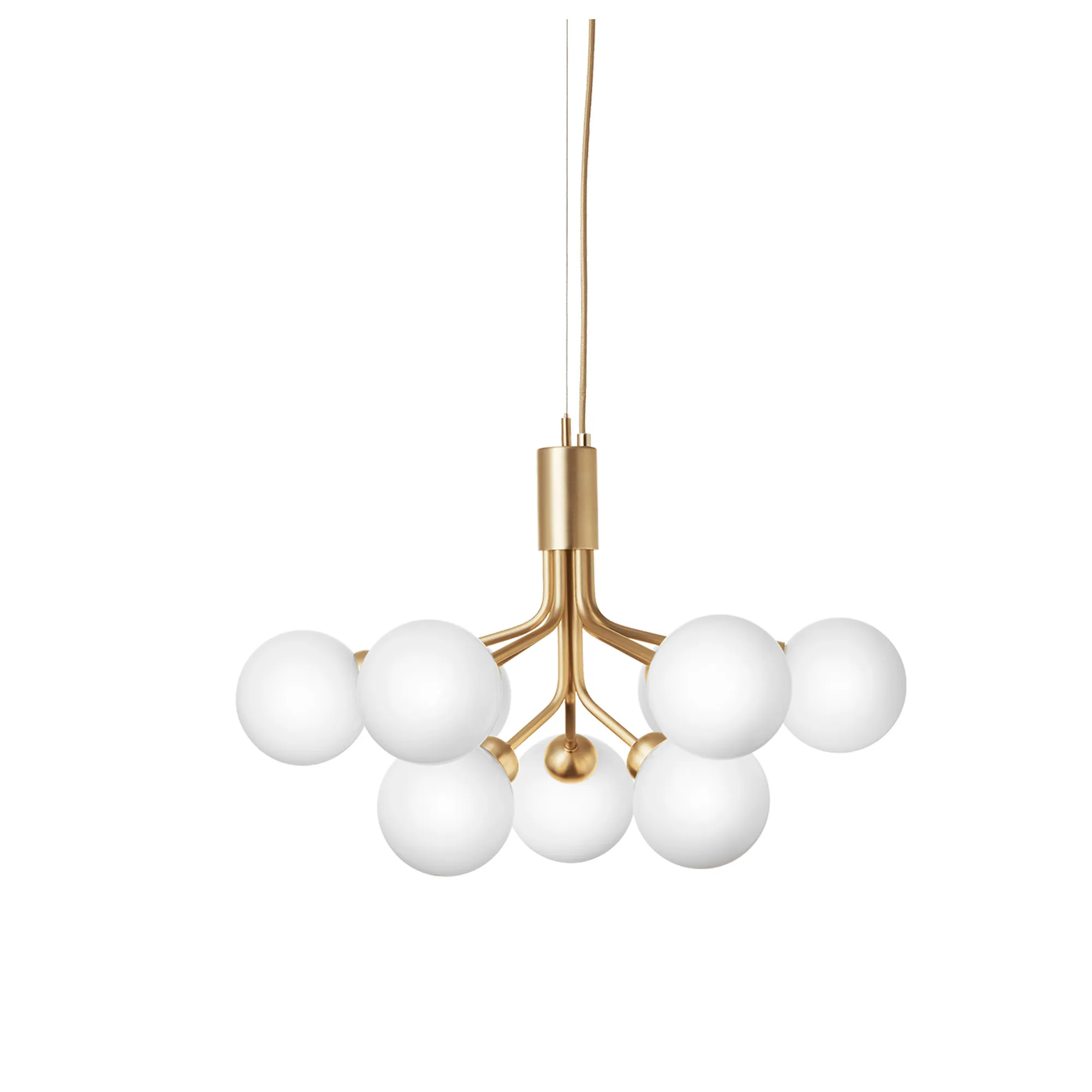 Apiales 9 Pendant - 1