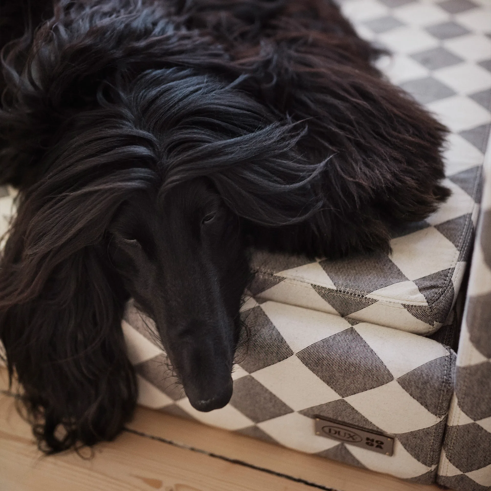 DUX Premium Dog Bed by Nordiska Galleriet - DUX - NO GA