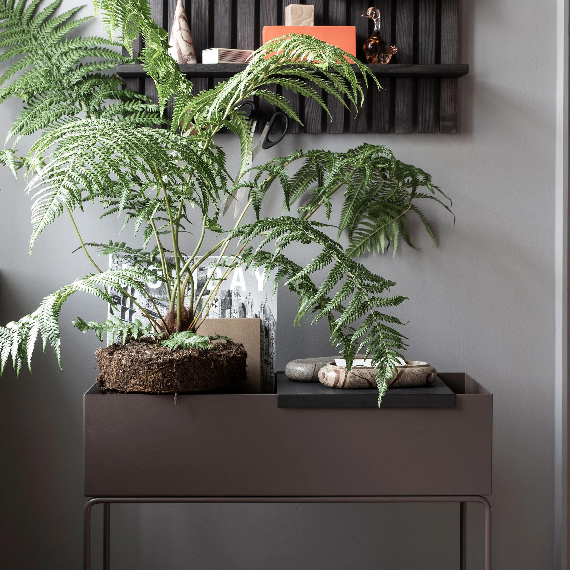 Plant blomsterkasse - 4