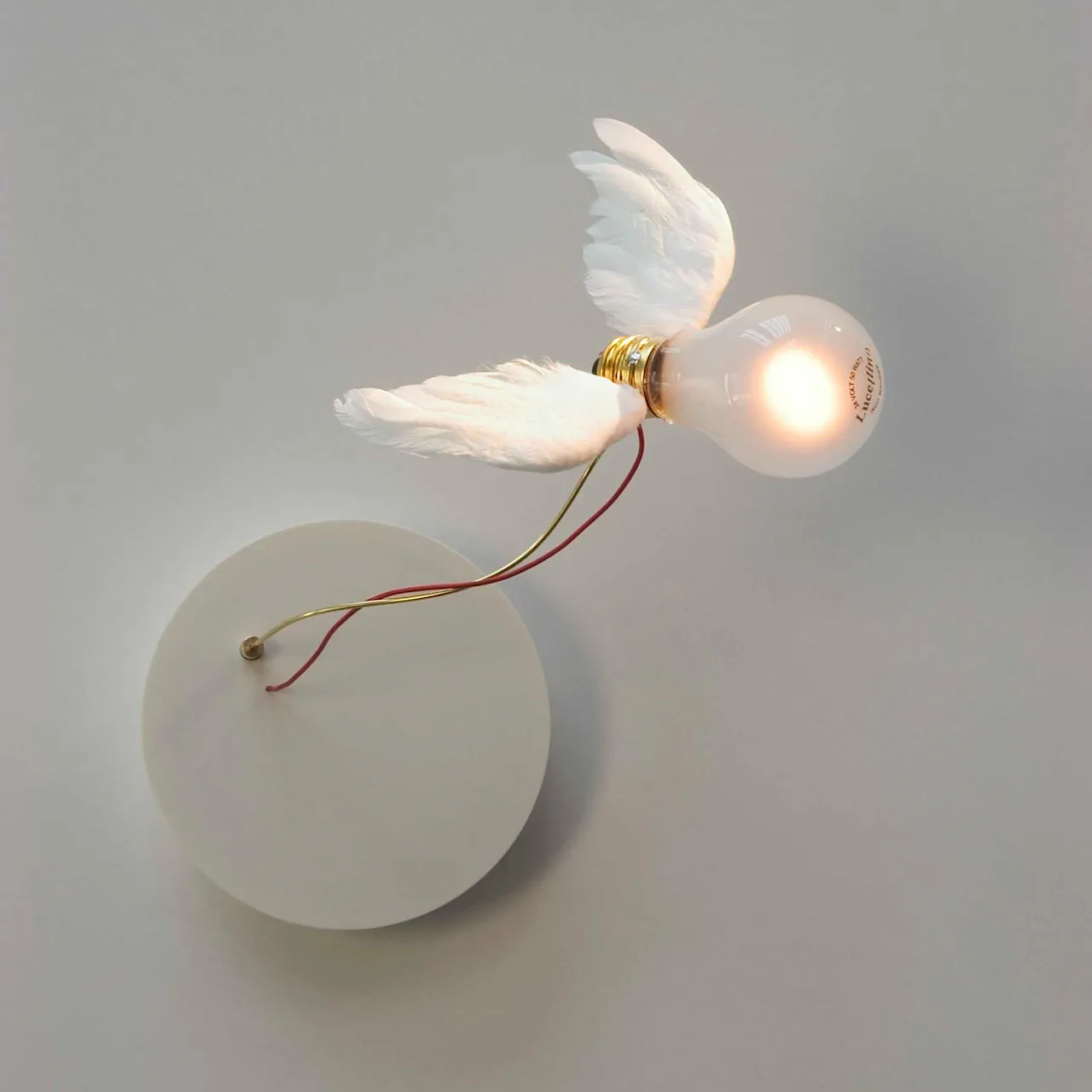 Lucellino vegglampe
