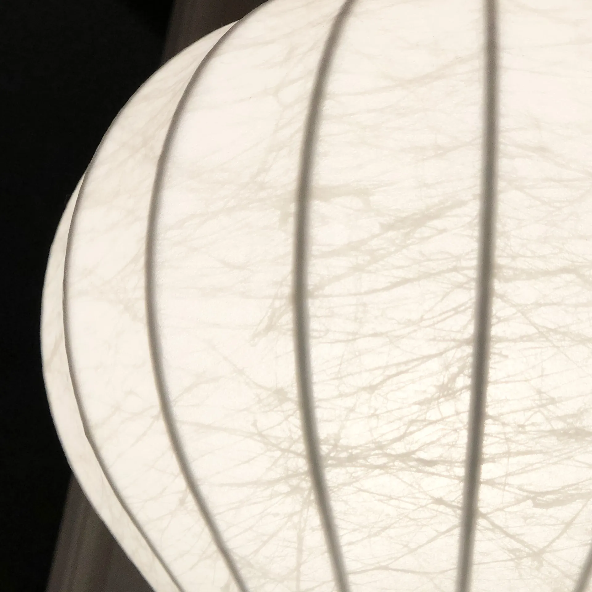 Gatto Table Lamp - Flos - Pier Giacomo Castiglioni - NO GA