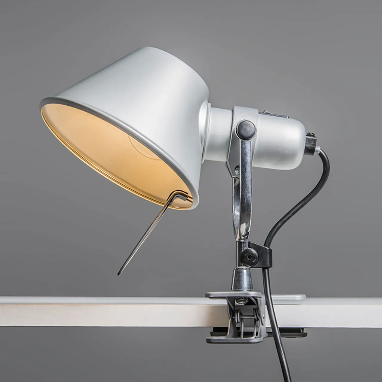 Tolomeo Pinza