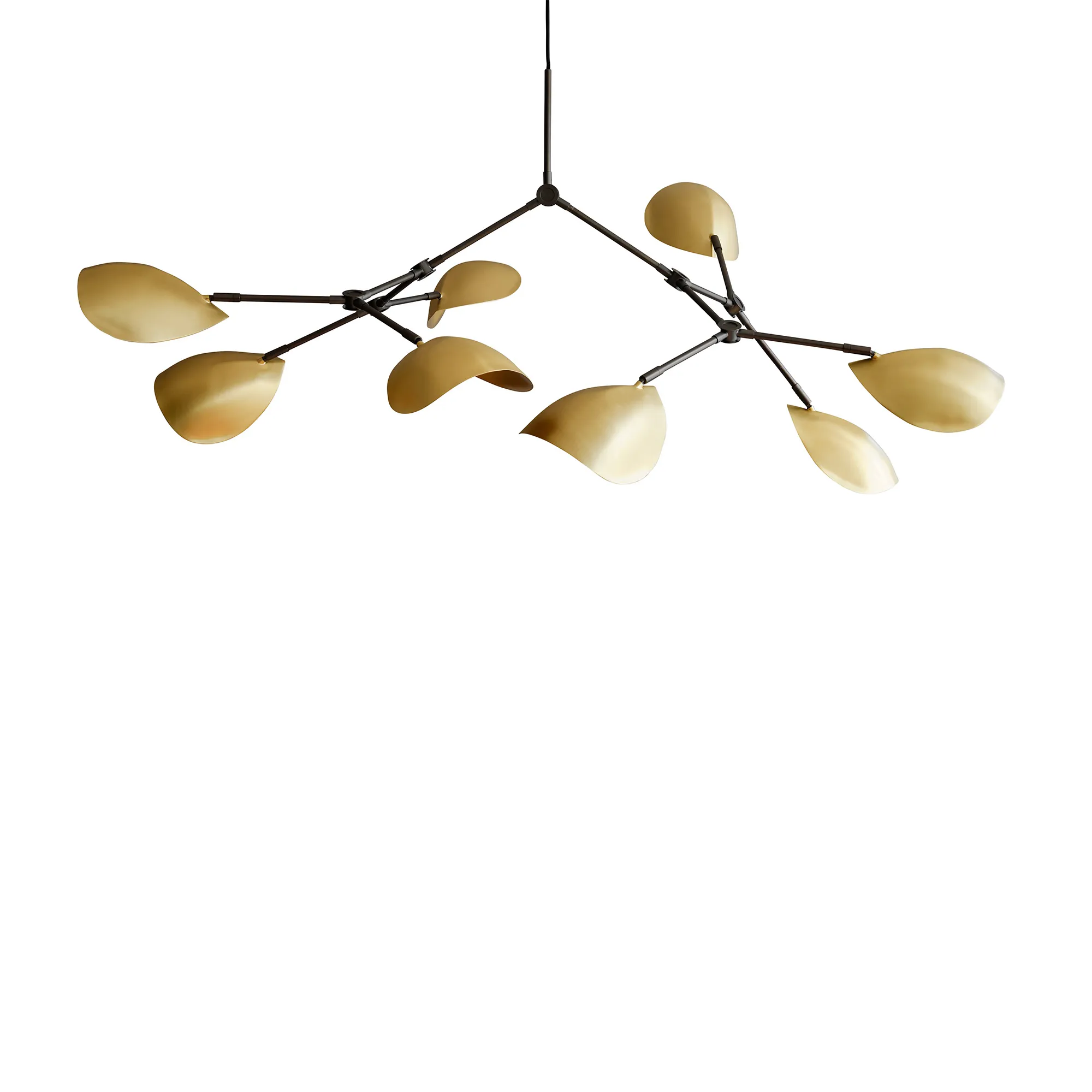 Stingray-lysekrone - 1
